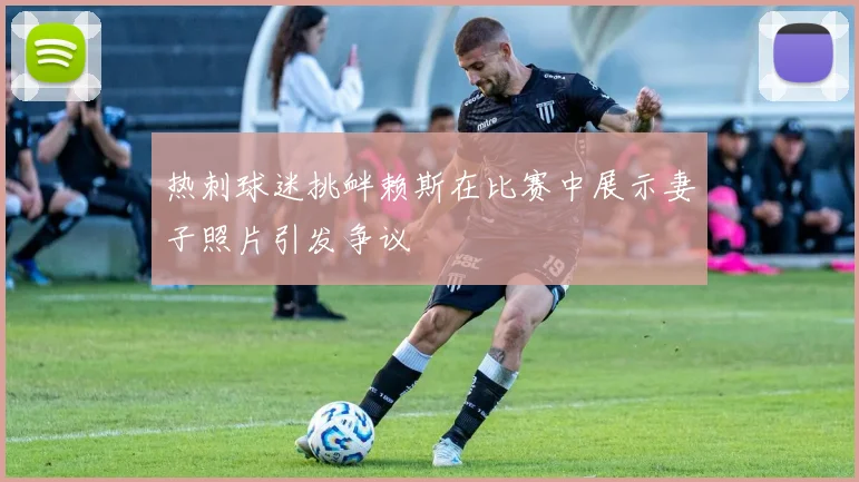 热刺球迷挑衅赖斯在比赛中展示妻子照片引发争议