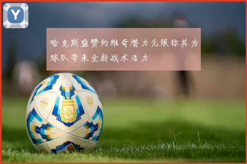 哈克斯盛赞约维奇潜力无限称其为球队带来全新战术活力