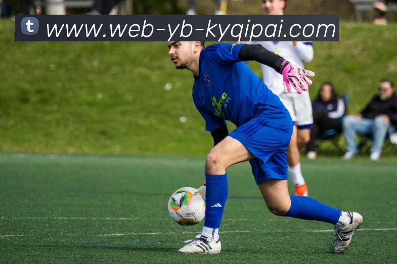 开元棋牌APP 封面图